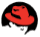 rhel icon